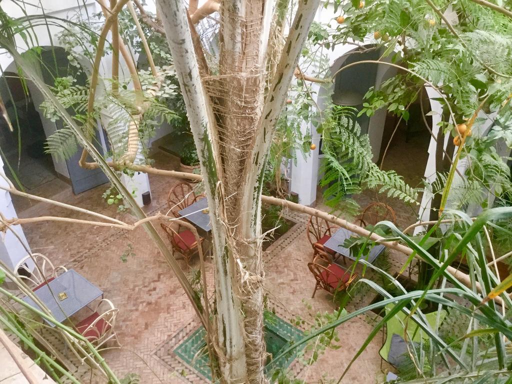 Dar Binebine Hotell Marrakesh Eksteriør bilde