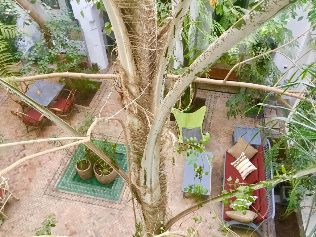 Dar Binebine Hotell Marrakesh Eksteriør bilde